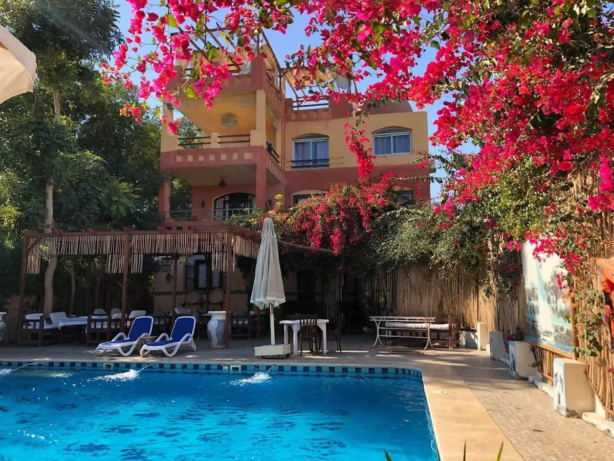 *** Guest house Nile Compound Hotel Luxor Egypt