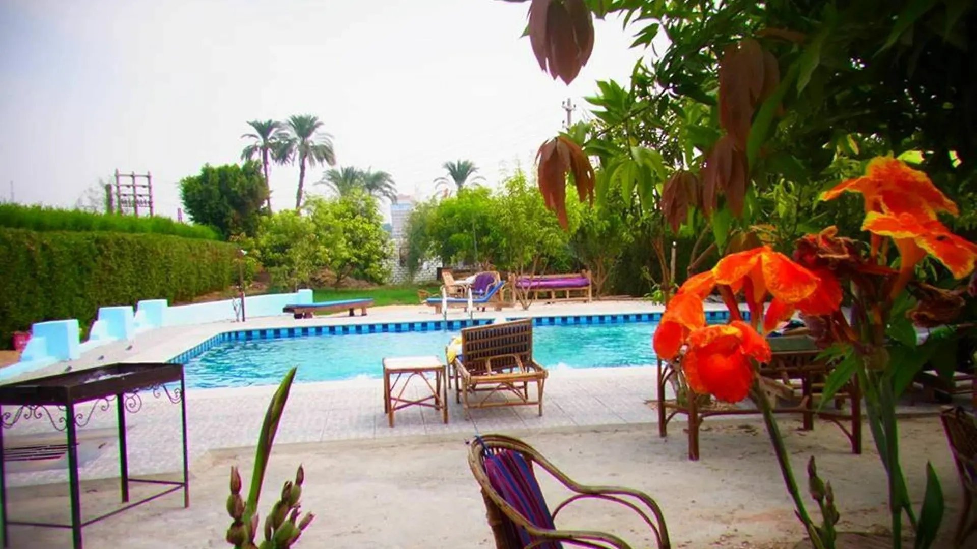 Nile Compound Hotel Luxor