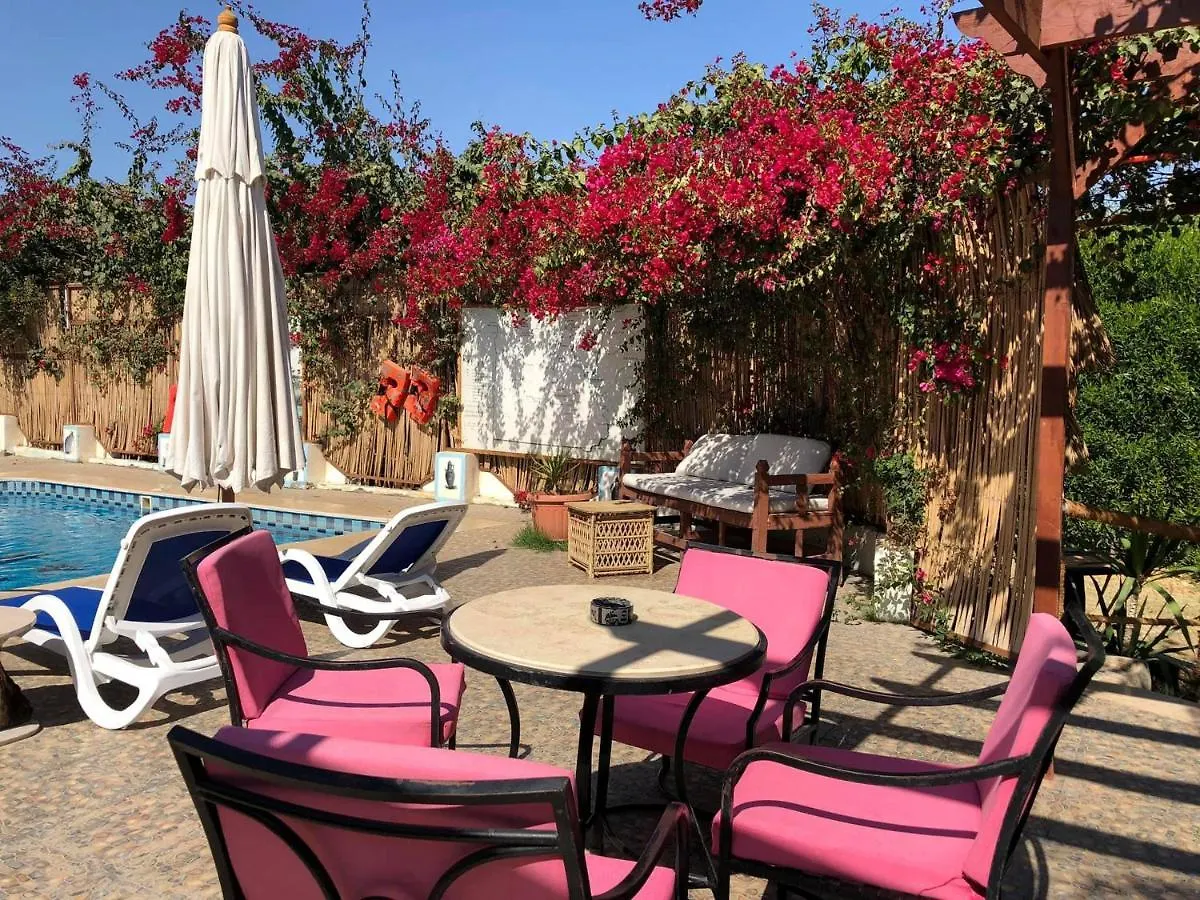 Nile Compound Otel Luksor