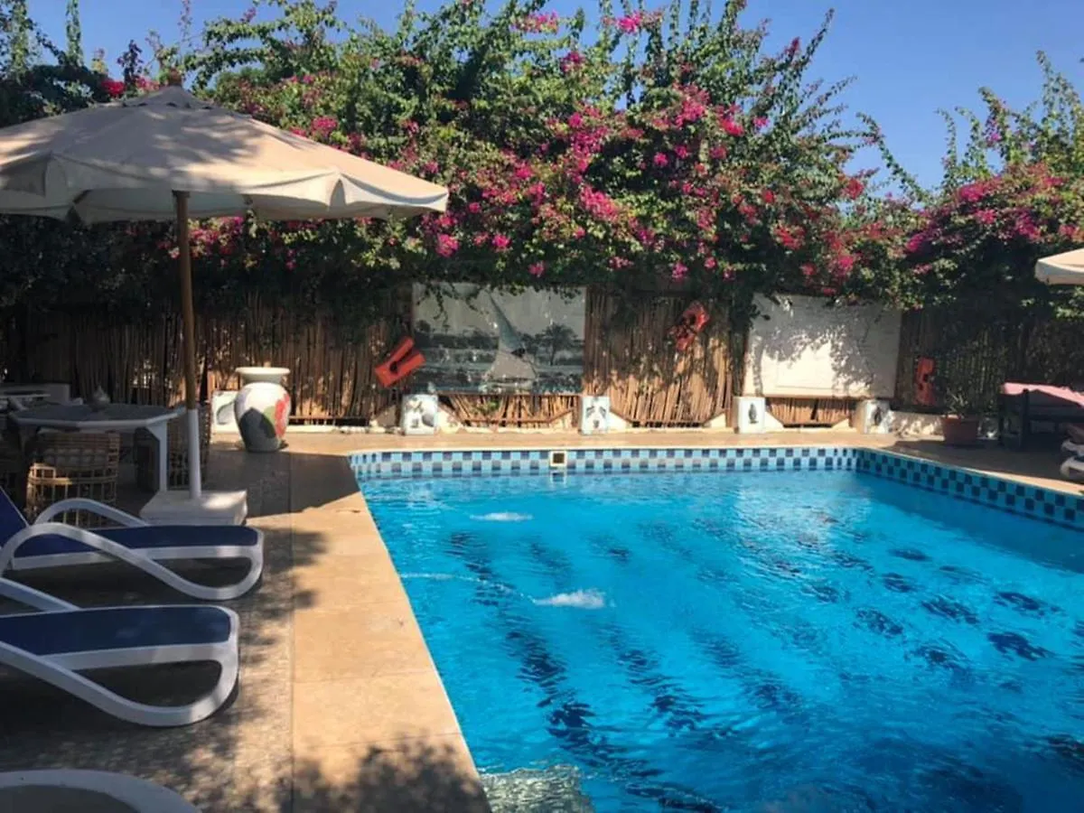 Konukevi Nile Compound Otel Luksor