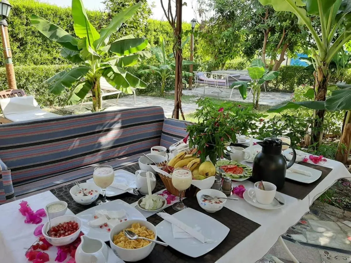 Nile Compound Otel Luksor Konukevi