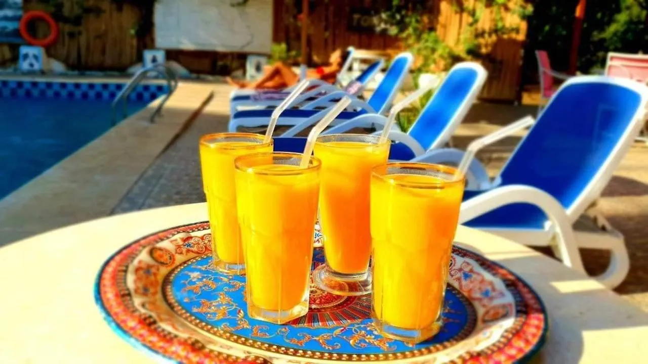 Nile Compound Otel Luksor