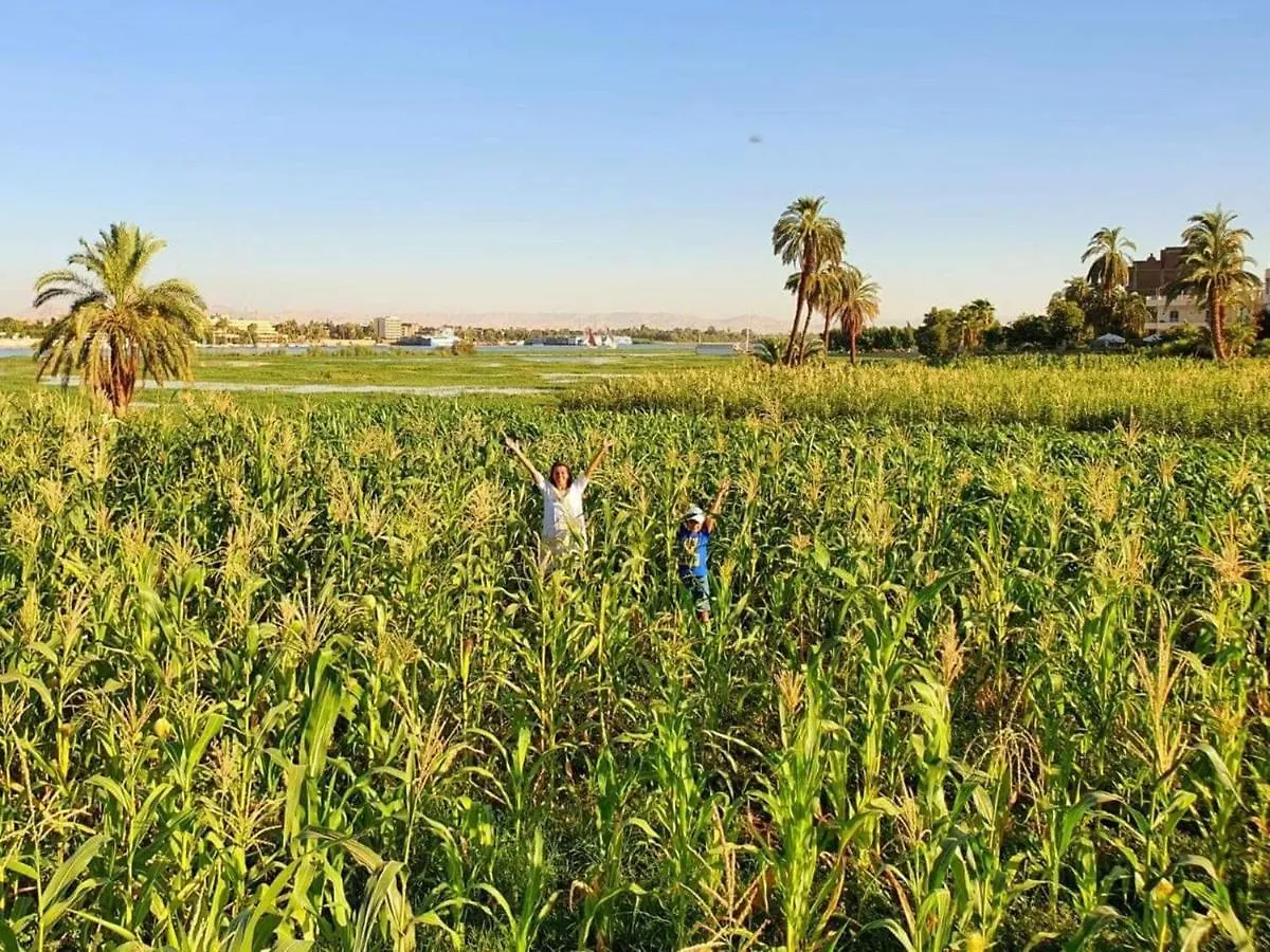 Nile Compound Otel Luksor