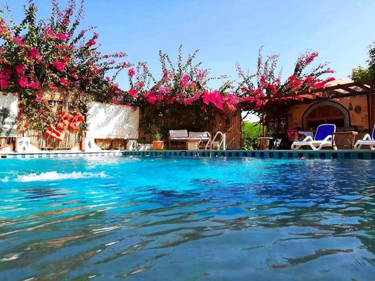 Guest house Nile Compound Hotel Luxor