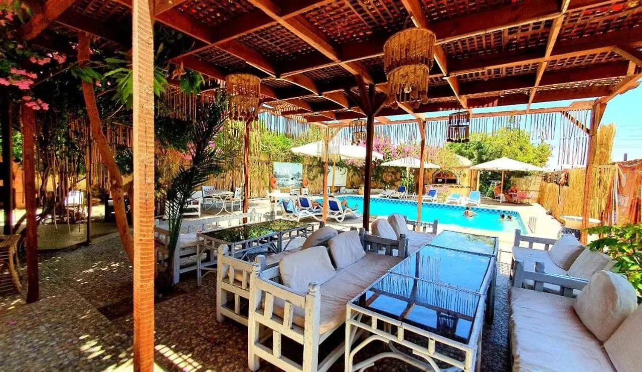 *** בית הארחה מלון לוקסור Nile Compound מצרים