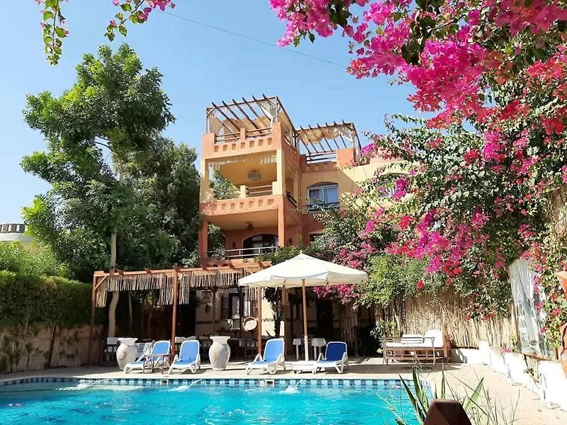 מלון לוקסור Nile Compound בית הארחה