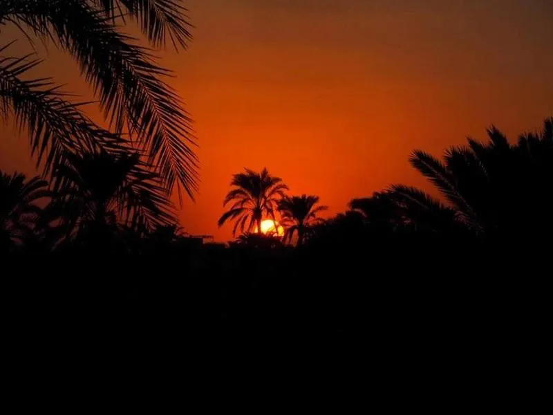 *** Guest house Nile Compound Hotel Luxor Egypt