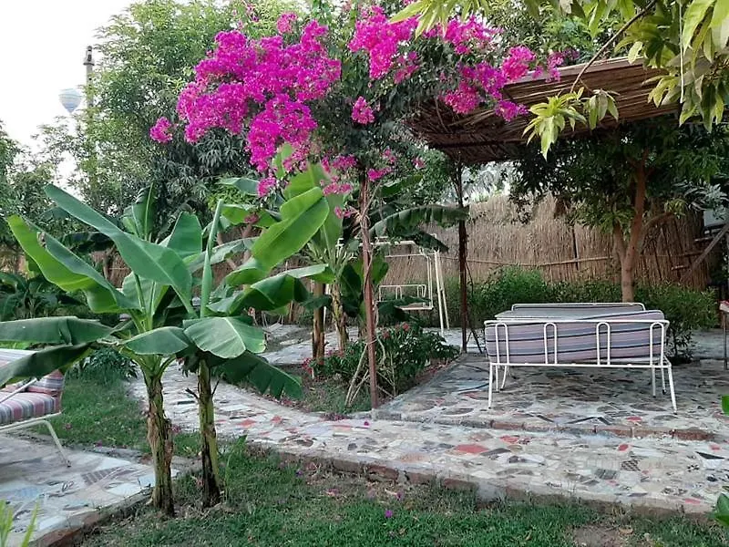 Nile Compound Hotel Luxor Guest house